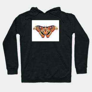 Atlas Moth Hoodie